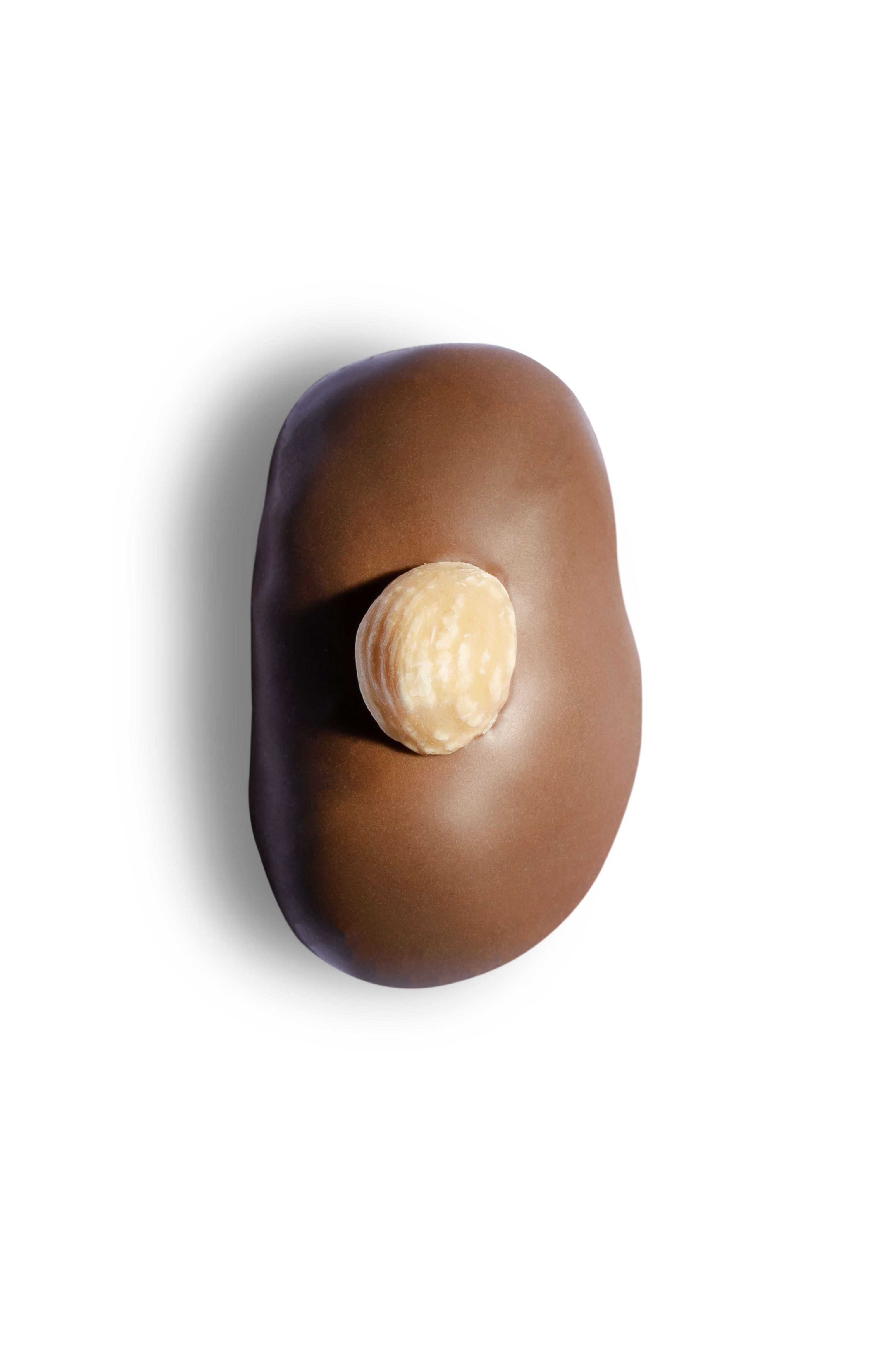 MILK CHOCOLATE / PRALINE HAZELNUT